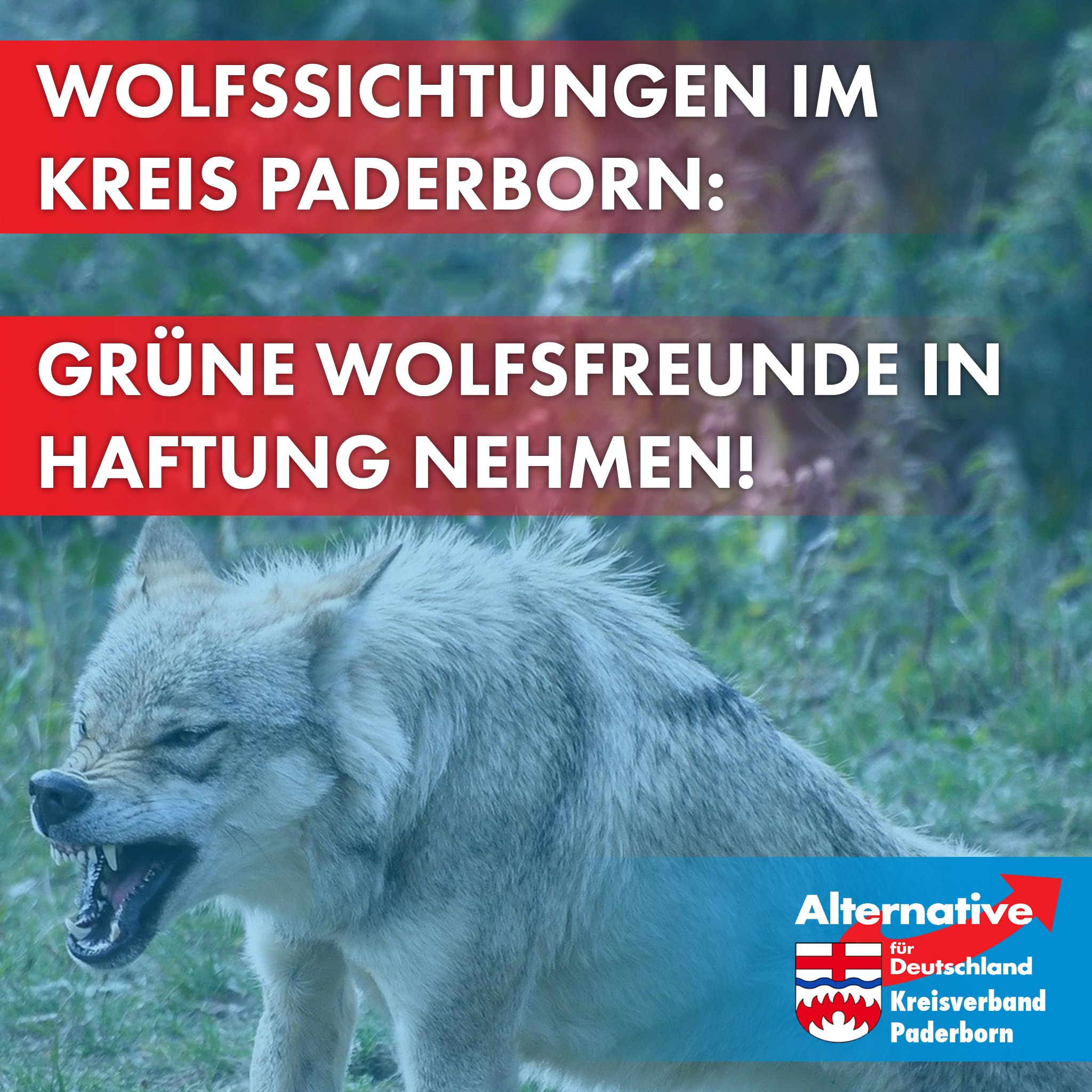 You are currently viewing „Grüne Wolfsfreunde“ in Haftung nehmen