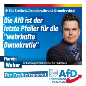 Read more about the article AfD: Stützpfeiler der Demokratie
