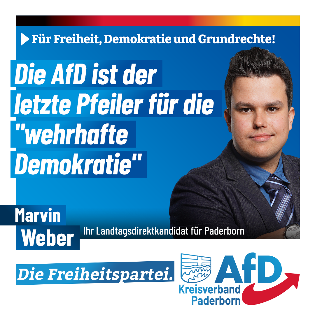 You are currently viewing AfD: Stützpfeiler der Demokratie