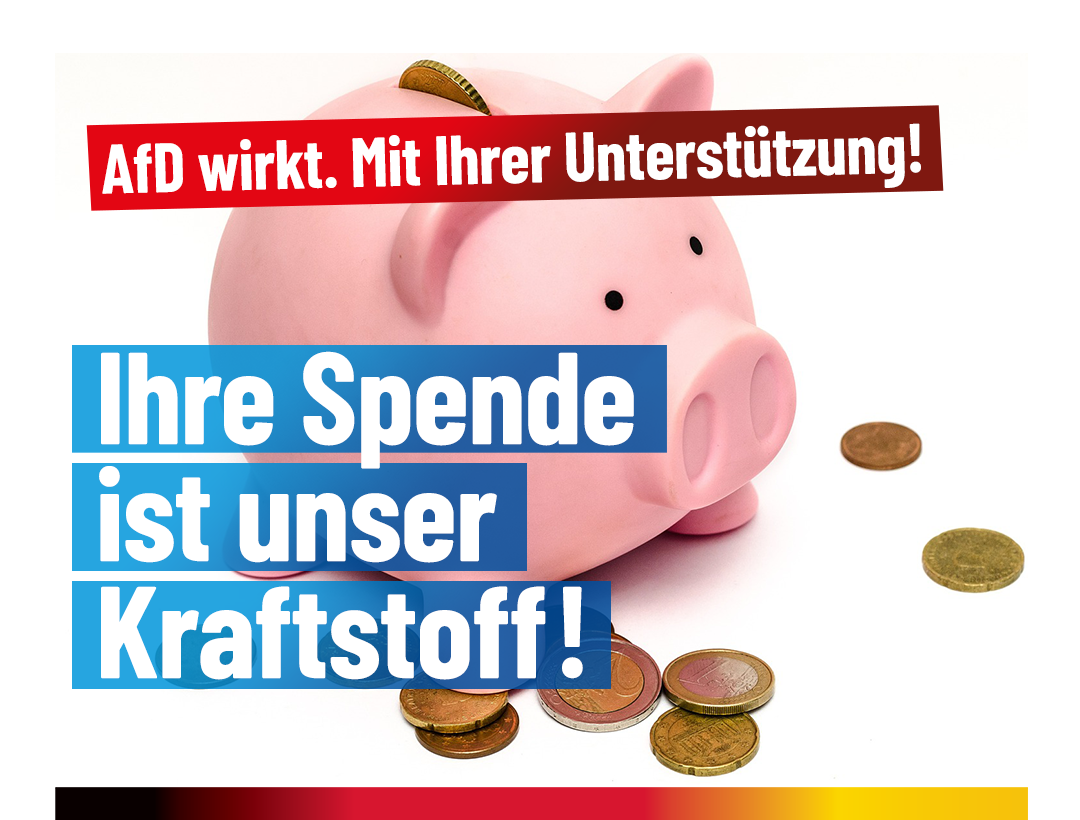 Mehr über den Artikel erfahren AfD wirkt: Mit Ihrer Spende!