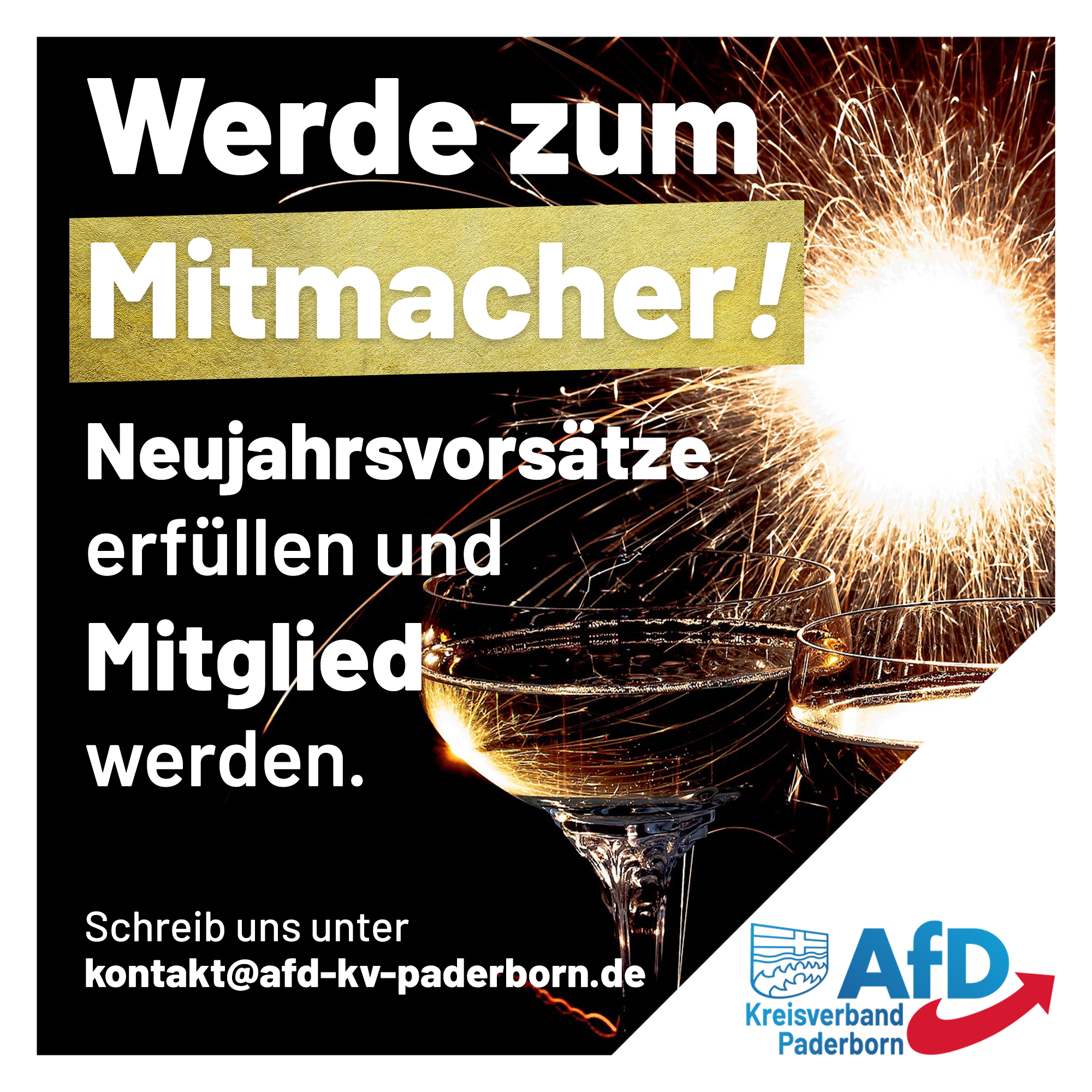 Read more about the article Neujahrsvorsätze? AfD-Mitglied werden!