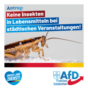 Read more about the article Keine Insekten im Essen auf Salzkottener Veranstaltungen