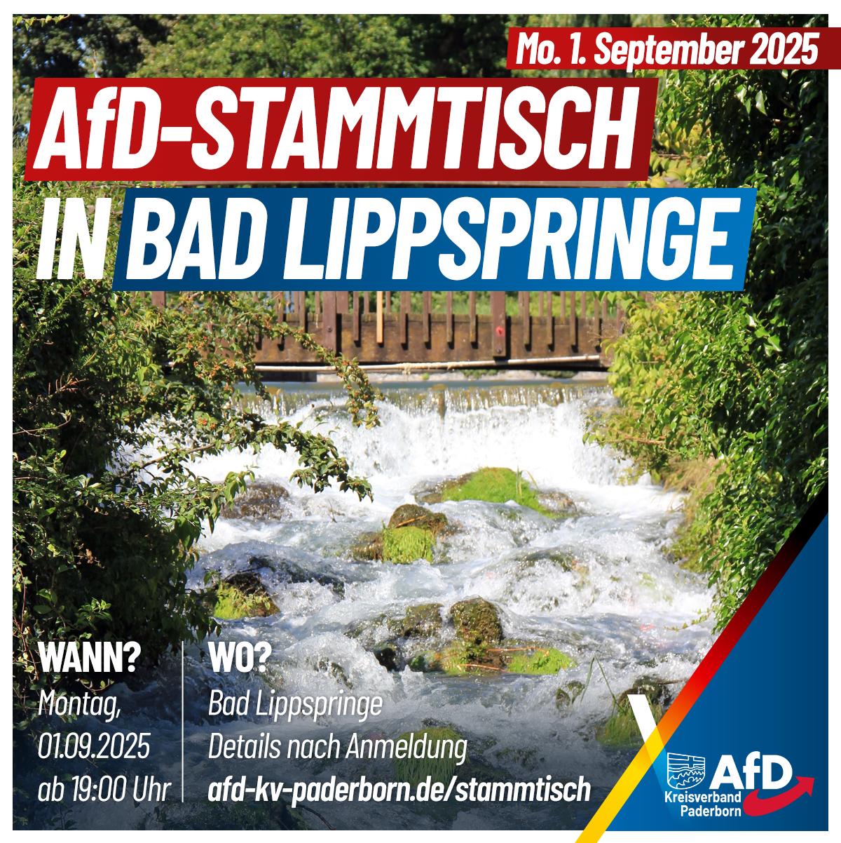 Mehr über den Artikel erfahren AfD Stammtisch 01.09. in Bad Lippspringe